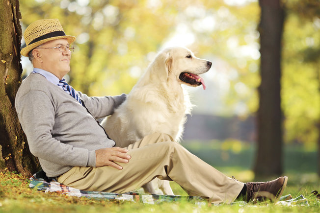 Health Advantages of Getting Pets 2015
