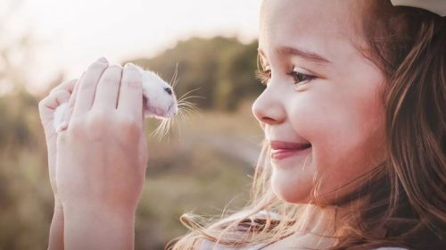 10 OF THE BEST LOW MAINTENANCE PETS FOR KIDS