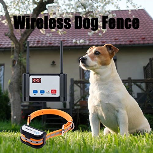 Can A Wireless Dog Fence Be An Alternative Of A Physical Fence?